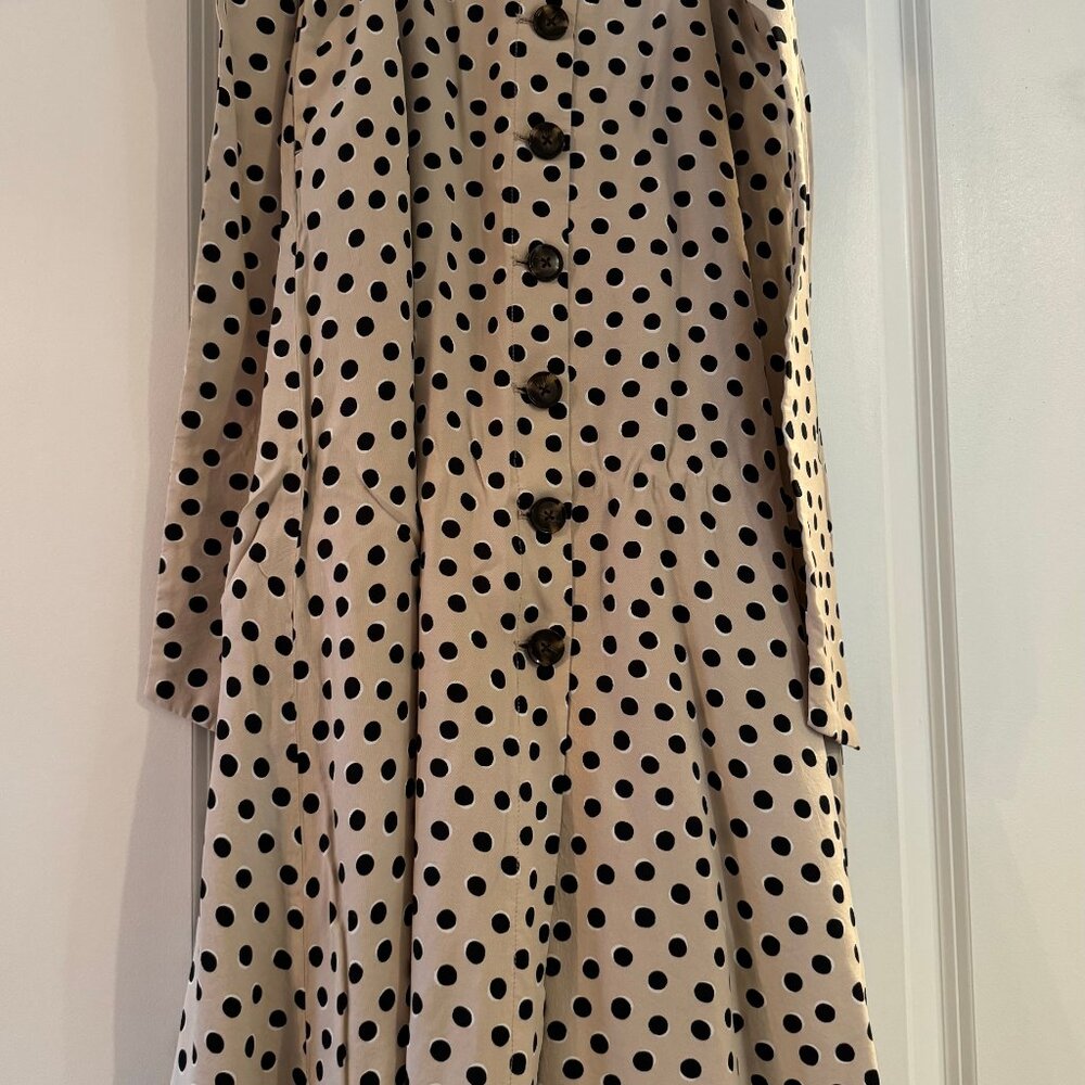 Ann Taylor Dot Tie Waist Button Front Maxi Skirt